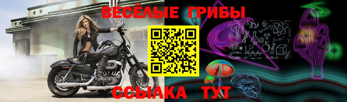 Псилоцибиновые грибы ЛСД Семилуки